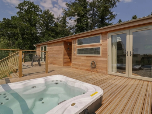 BEFORE YOU START SEARCHING